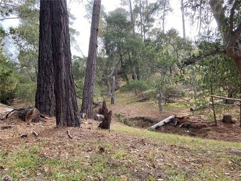 Tiny photo for 0 Kenneth Drive, Cambria, CA 93428 (MLS # SC26103640)