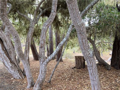 Tiny photo for 0 Kenneth Drive, Cambria, CA 93428 (MLS # SC26103640)