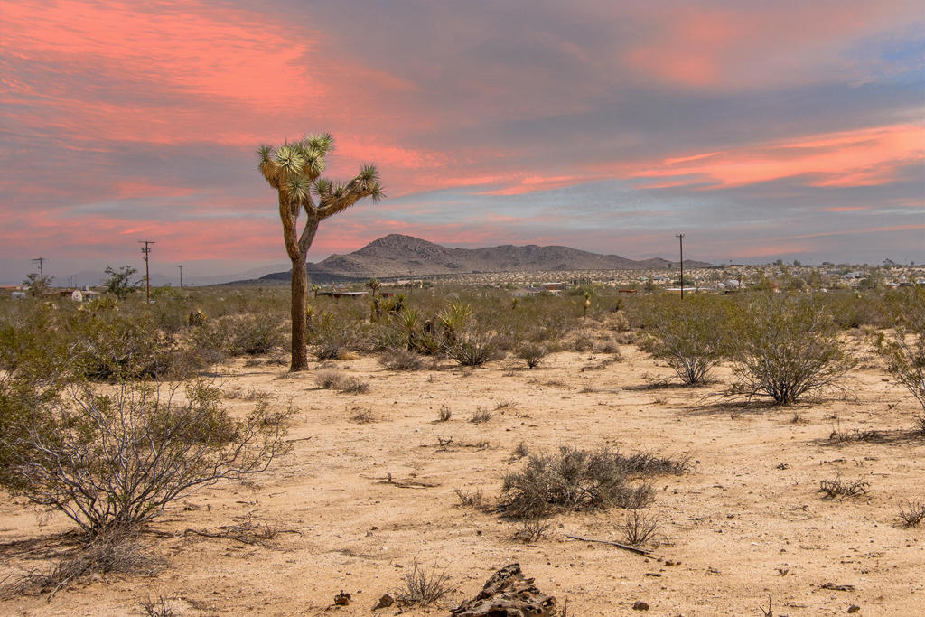Beautiful 2.1 acre residential lot in world famous Joshua Tree. Just off pavement with water, power, & road access on a corner lot. Panoramic vistas of Bunker Mtn, Mt Bartlett, Copper Mtn and snow caps on Mt San Gorgonio. High priced new modern homes & designer remodels can be seen throughout the area. The Hidden River neighborhood is known for it's peace, serenity & convenient yet rural setting. Just minutes to organic restaurants, cafes, bars, boutiques & the JT Farmers Market in the vibrant downtown JT village. More amenities & entertainment in nearby Yucca Valley, Pioneertown, & 29 Palms. Ideal to build an architectural compound. Horse property. Starry nights. Artists, musicians, & visionaries continue to gravitate to Joshua Tree, bringing new energy & style to the area. 11 miles to the Joshua Tree National Monument where about 3 million tourists visit the park annually. Hot vacation area. The location also provides easy access to nearby destinations. 24 miles to Johnson Valley OHV area. 52 miles to Palm Springs. 65 miles to Big Bear Lake. 133 miles to Los Angeles. The county may allow for a house, guest house and jr guest house. Buyers are encouraged to confirm building guidelines & utility availability directly with the County of San Bernardino & appropriate service providers. GPS 34.20472, -116.30086. APN 0599-384-01-0000 Property doesn't have an assigned address, the MLS address is for marketing use only. Joshua Tree in photo may be on adjacent property. Don't Wait! Call Now!