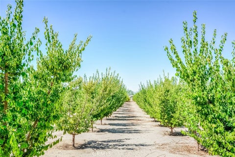Photo of 13830 Paramount RD, Phelan, CA 92371 (MLS # PW26176776)