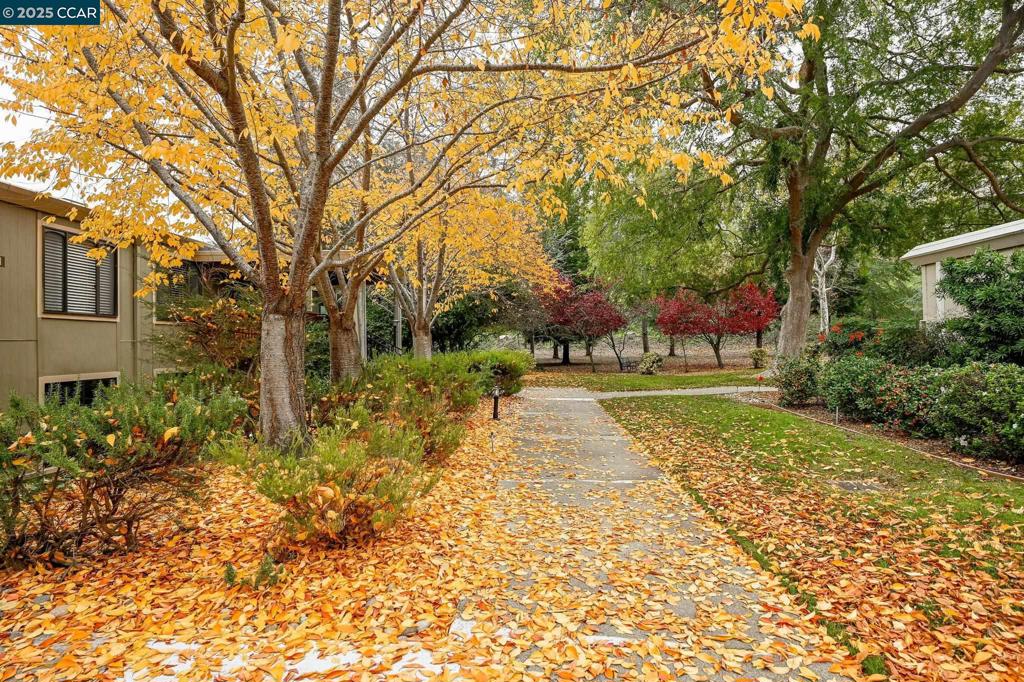 1131 Oakmont Drive 6