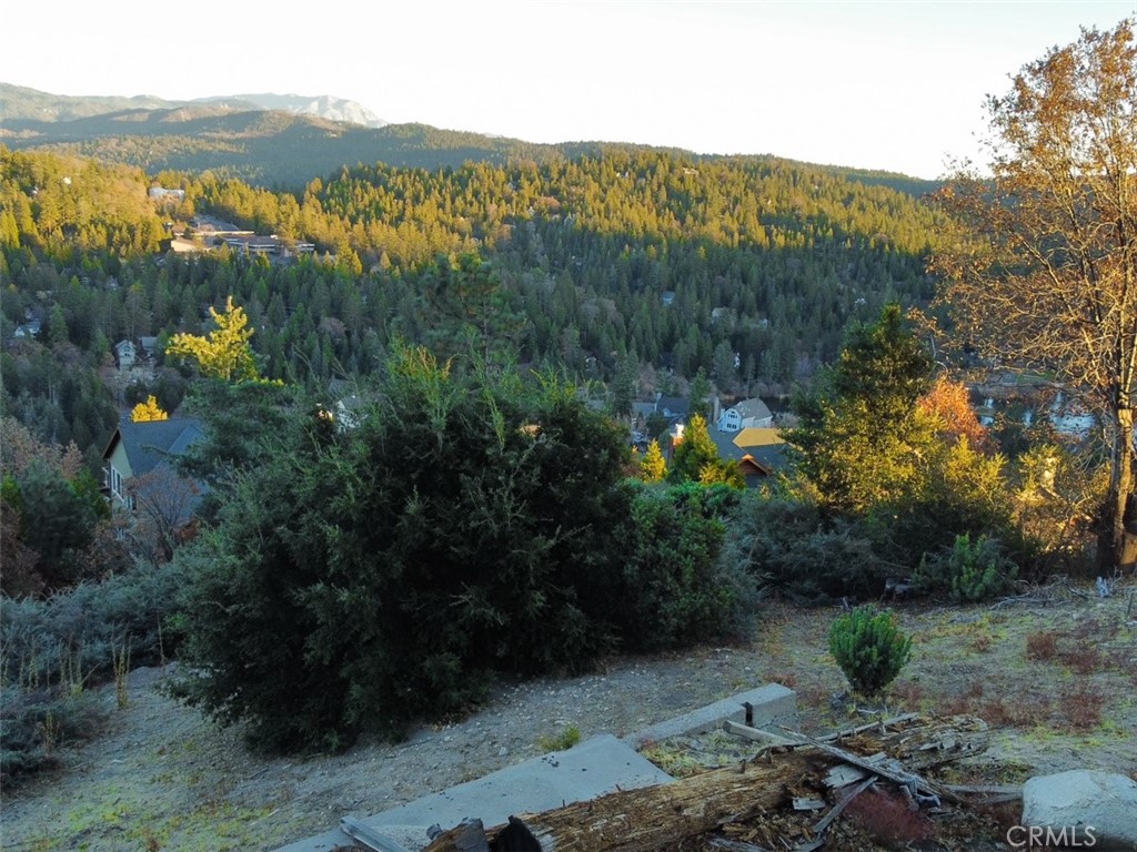 Arrowhead Woods (AWHW) - Land