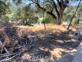3353 Wolf Creek Road