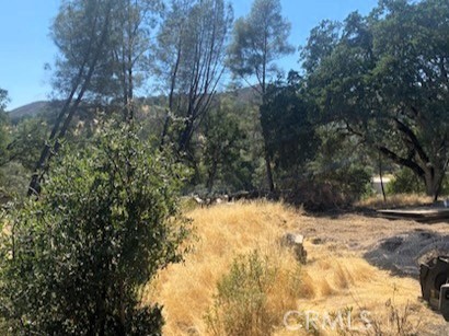 3353 Wolf Creek Road