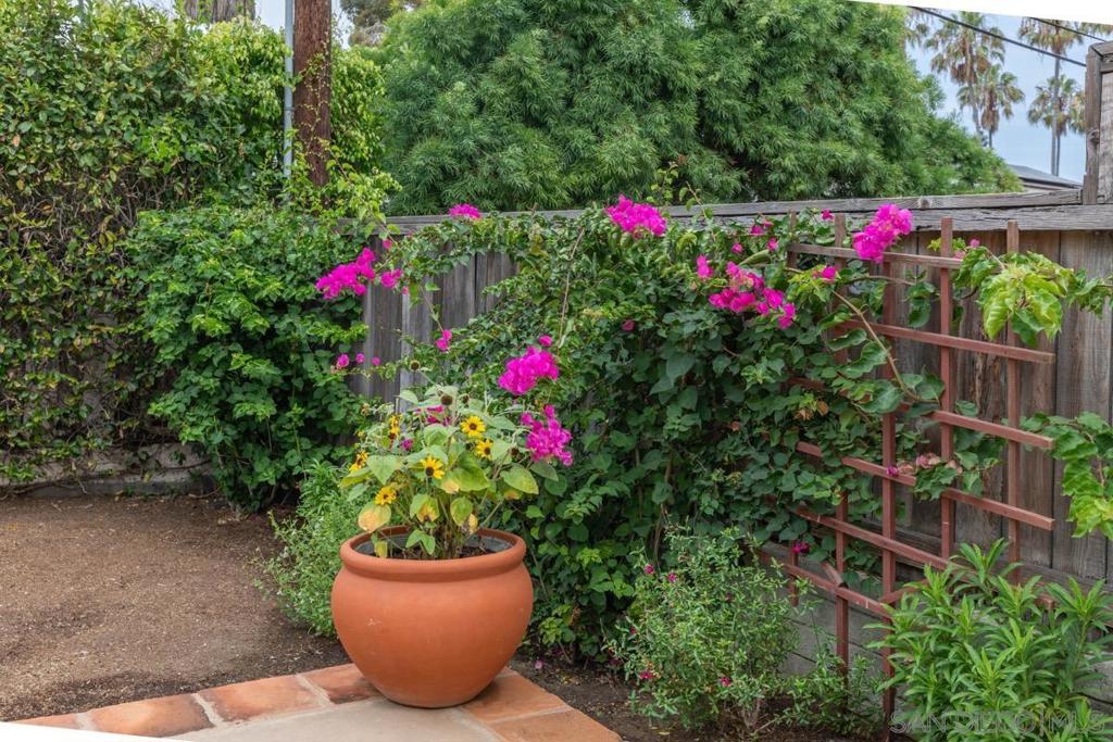 La Jolla - Residential Lease