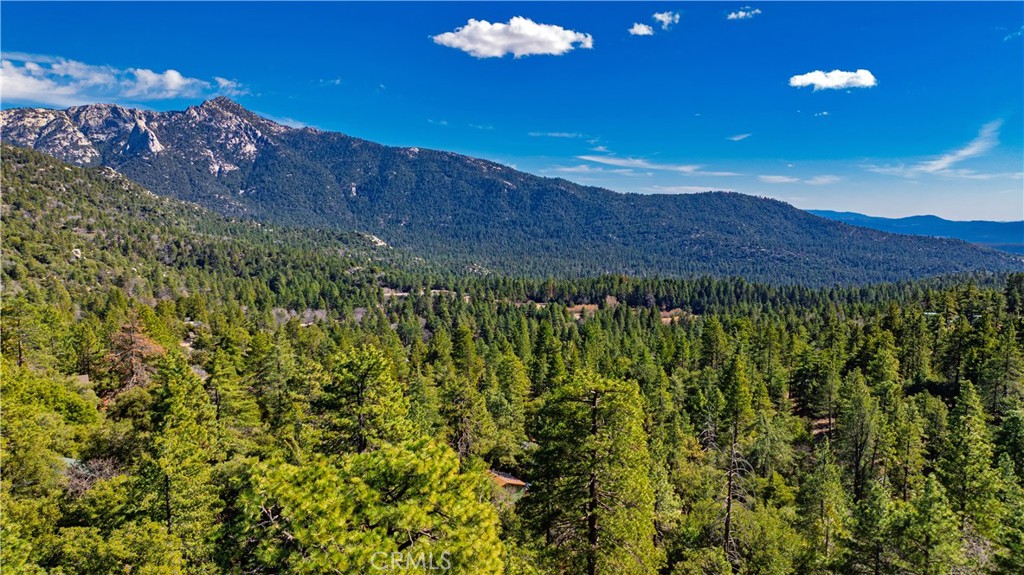 1 Mountain View Drive