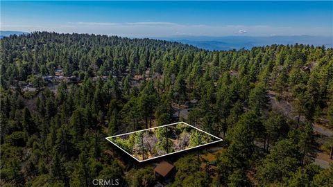 1 Mountain View Drive Idyllwild CA 92549