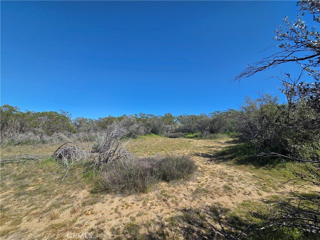 0 Pony Trail