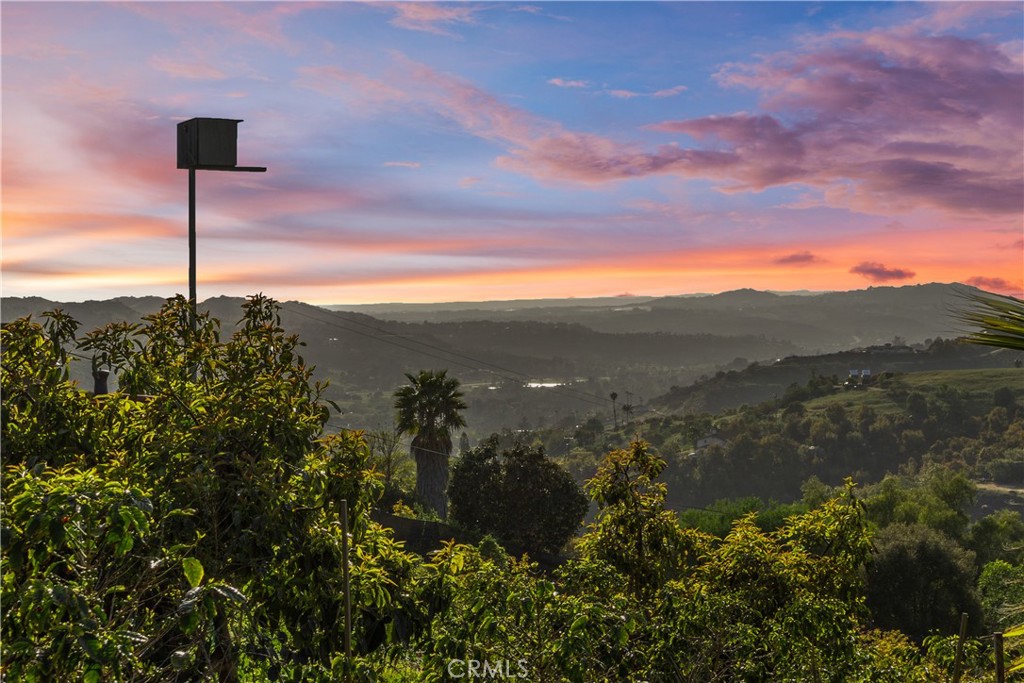 31725 Rancho Amigos Road