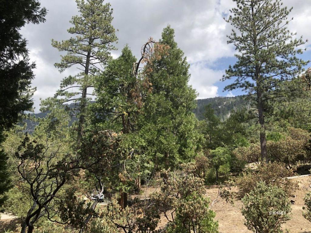 Not Applicable-1 - Residential