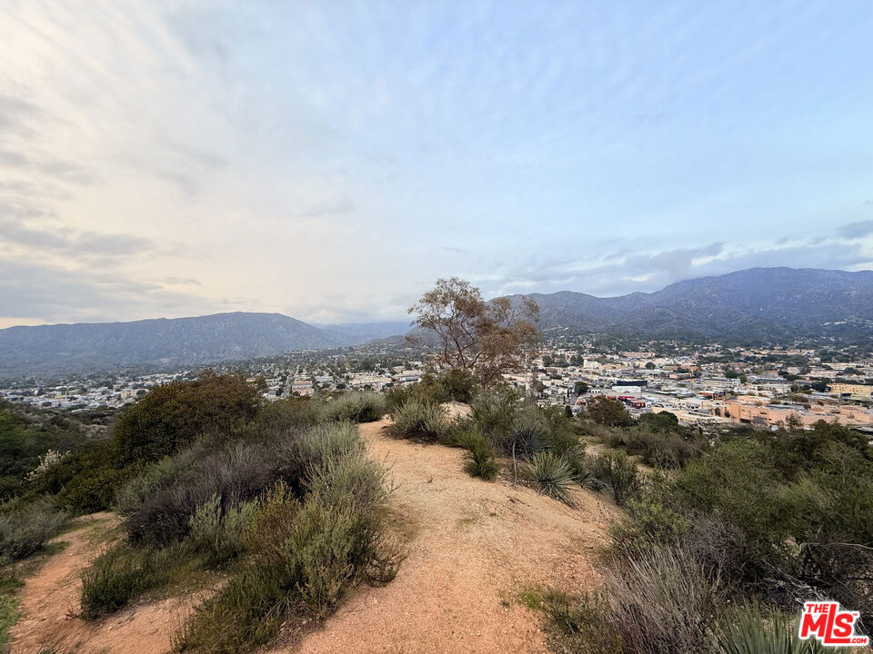 INVESTORS* - An exceptional development opportunity awaits to build multiple single-family homes and ADUs, or even consider manufactured homes, across all the lots. Alternatively, merge the parcels to create one or two expansive estates, or design a bespoke home on each lot. Imagine your dream home elevated on a stunning vantage point, offering sweeping panoramic views of the city skyline and majestic mountains. Included are beautifully designed renderings to help you envision the possibilities for your future development. This is a unique chance to create a thoughtfully planned neighborhood that offers both privacy and tranquility. A prior survey and soil report confirmed that the surface bedrock was ideal for building. Recent development nearby, including a newly built home and another currently under construction. Utility poles are conveniently close by. The Seller prefers selling all six lots together but will consider offers for a three-lot split. If splitting, APNs ending in 004, 005, and 006 are priced at $64,000 per lot, while APNs ending in 007, 008, and 009 are $54,000 per lot. 9727, 9735, 9739, 9741, 9745 and 9749 N Estaban Way. Respective APNs: 2563-030-004, 2563-030-005, 2563-030-006, 2563-030-007, 2563-030-008, 2563-030-009.