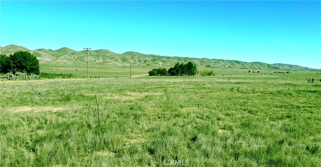 Carrizo Plains/California Valley(62) - Land