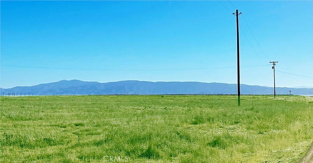Carrizo Plains/California Valley(62) - Land