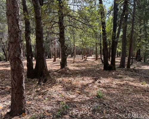 PLATT MOUNTAIN RD, FOREST RANCH, CA 95942 - Image b9edcd81fa55aa4ddb1e44ff84931465/2474859884