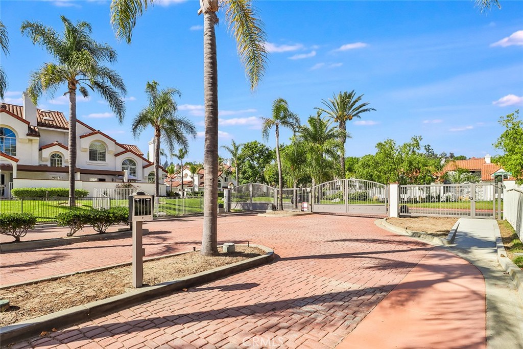 Palm Colony - Residential