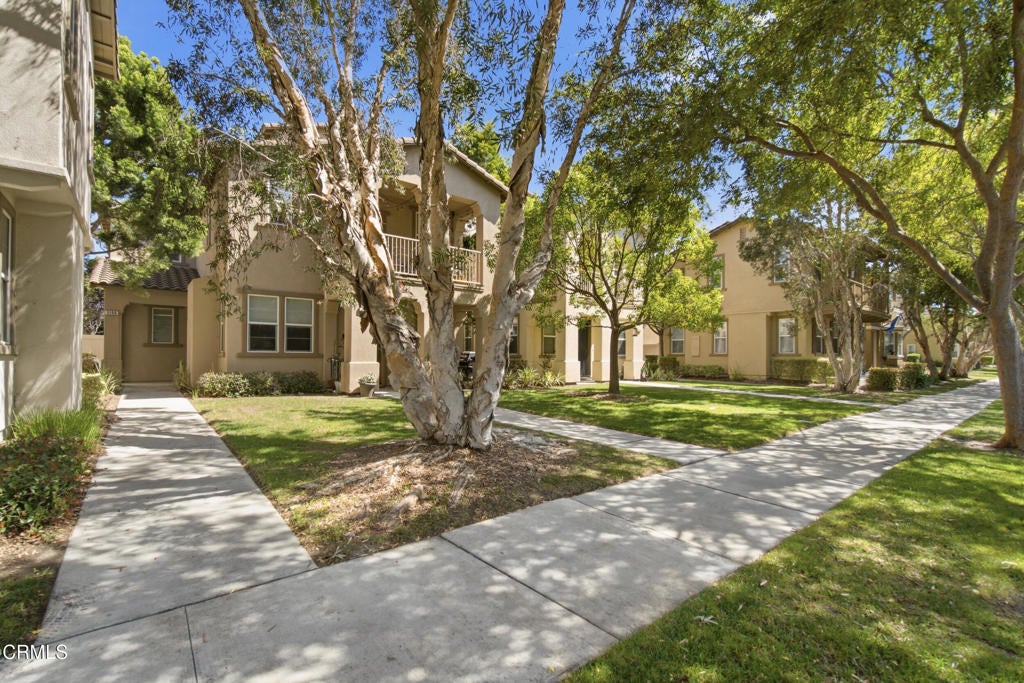 3146 N Ventura Road