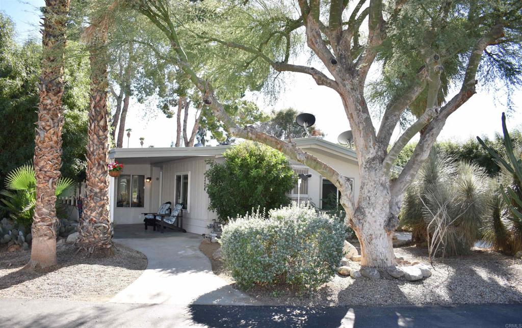 1010 Palm Canyon Drive 324