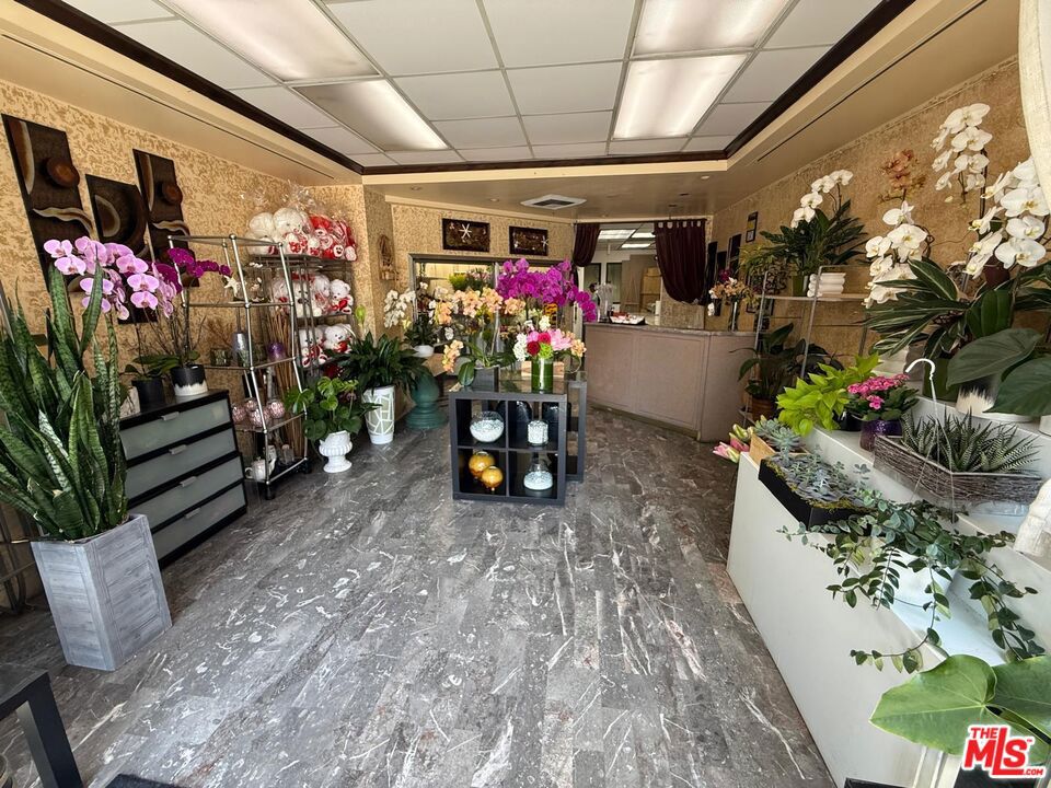 Florist Shop for Sale Prime Downtown LA Location An exceptional opportunity to own a well-established and profitable florist shop in the heart of Downtown Los Angeles. Located near the iconic Biltmore hotel with excellent street visibility, this turnkey business offers strong community presence and steady clientele. Ideal for entrepreneurs looking to step into a thriving business with low overhead monthly rent is just $1,500 with 8.5 years remaining on the lease. Don't miss this rare chance to own a charming floral business in one of LA's most sought-after locations!
