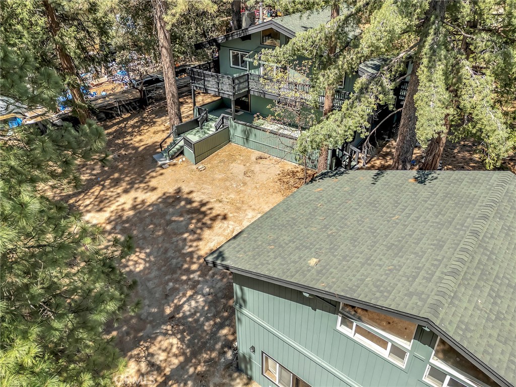 52835 Sugar Pine