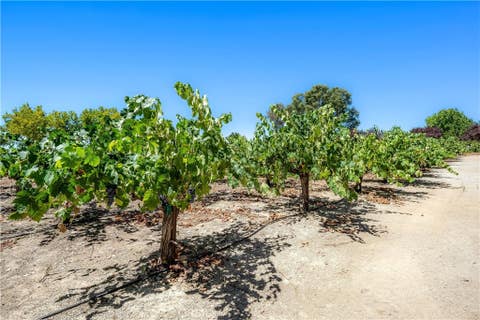 Tiny photo for 2995 Pleasant RD, San Miguel, CA 93451 (MLS # NS26172048)