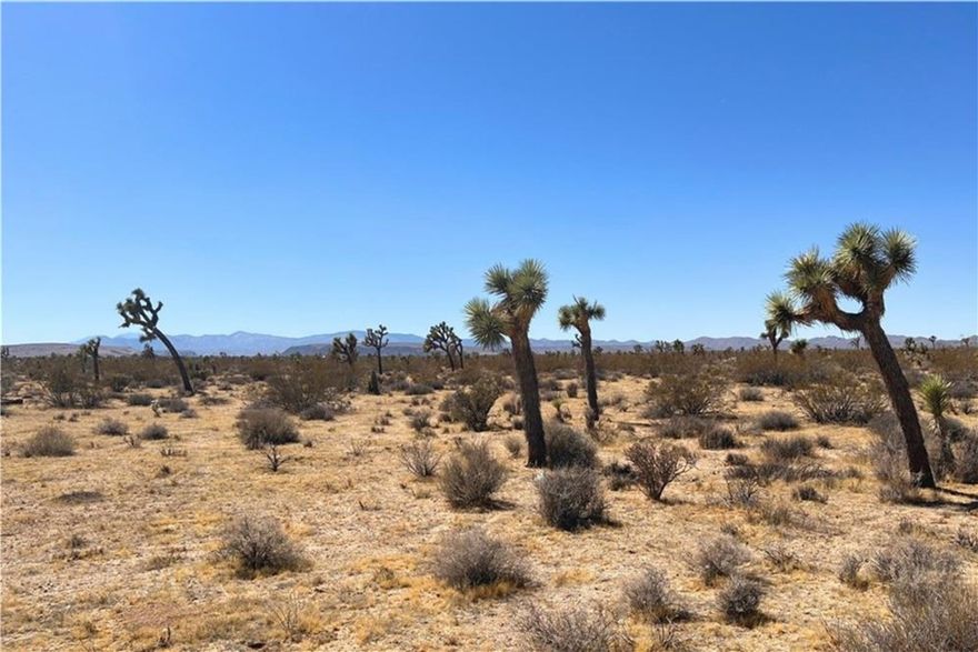 Buildable lot with stunning panoramic views just a short drive from Joshua Tree National Park! Discover your perfect slice of desert paradise with this stunning 5-acre parcel in Yucca Valley, CA. Nestled just a short drive from Joshua Tree National Park, downtown Yucca Valley, Pioneertown, and the trendy Flamingo Heights village, this property offers breathtaking 360-degree views. Marvel at the majestic San Gorgonio and San Jacinto peaks in the distance, while the starry nights showcase the Milky Way in all its glory. Zoned for 2-5 units (buyer to verify), this land is ideal for creating your dream home or a unique development opportunity. Water in the street (buyer to verify), and electricity is nearby (buyer to verify). Experience the ultimate in privacy and natural beauty, all within reach of the area's best attractions. Your dream desert escape awaits!
