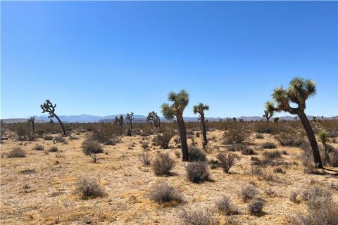 2814 Yucca Mesa Yucca Valley CA 92284