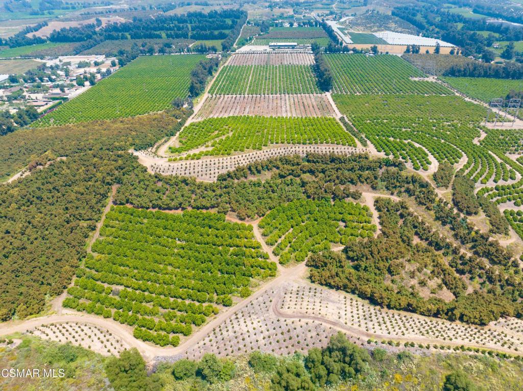 Nearly 40 acre agricultural gem, ripe with lemon and avocado trees is the perfect opportunity for investor, farmer or individual in search of a serene haven, nestled in the heart of Moorpark. Includes a second parcel, APN 500-0-130-030. Note: Agriculture land will likely not qualify for a conventional loan - consult with lender if needed.