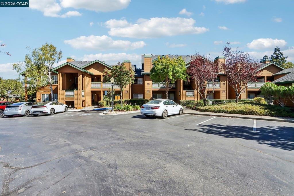 204 Stone Pine Ln