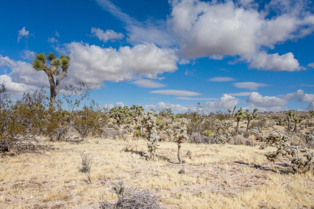 Not Applicable-1 - Land