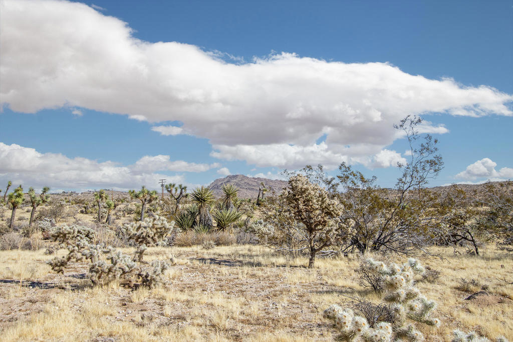 Not Applicable-1 - Land