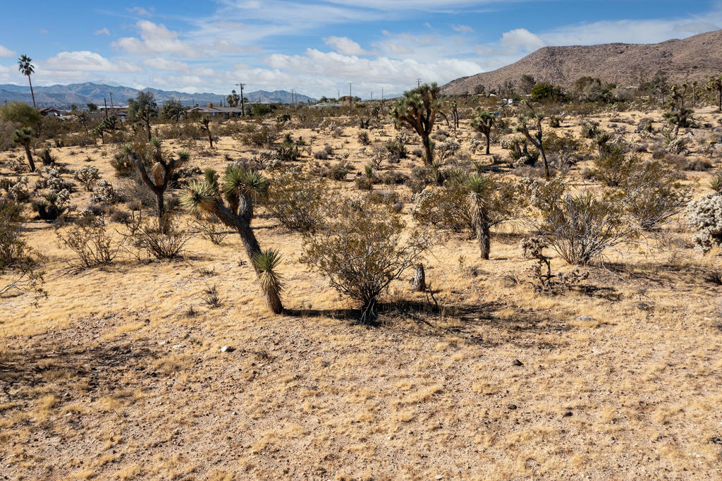 Not Applicable-1 - Land