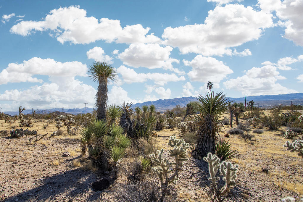 Not Applicable-1 - Land