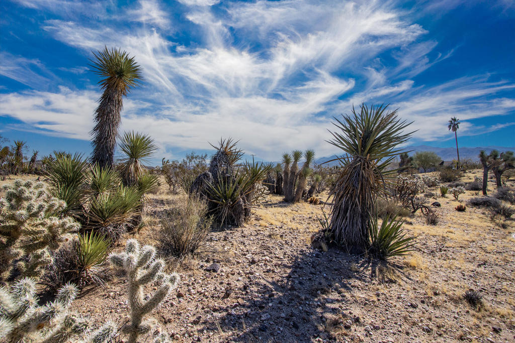 Not Applicable-1 - Land