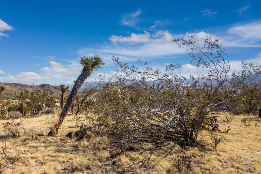 Not Applicable-1 - Land