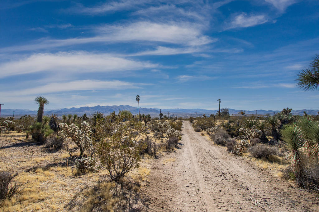 Not Applicable-1 - Land