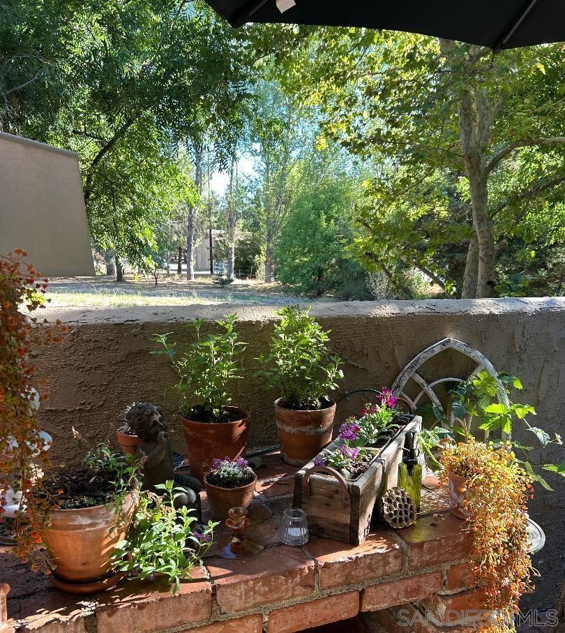 24312 CENTRAL AVENUE