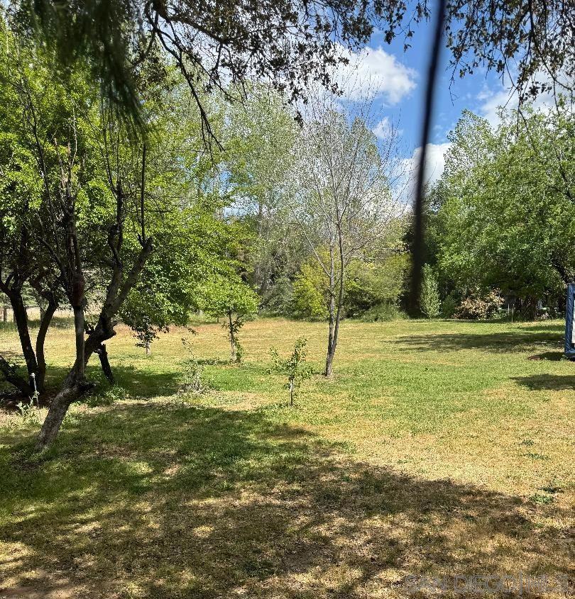 24312 CENTRAL AVENUE