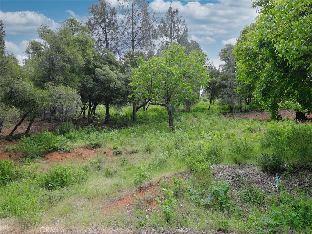 two parcels to be sold together totaling almost a half-acre. This lakeview lot ready for your imagination in the Riviera Heights neighborhood. The community features a boat launch, clubhouse, picnic area and swimming pool. Perk test on file.
