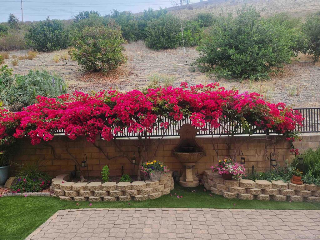 2756 Bellezza Dr.