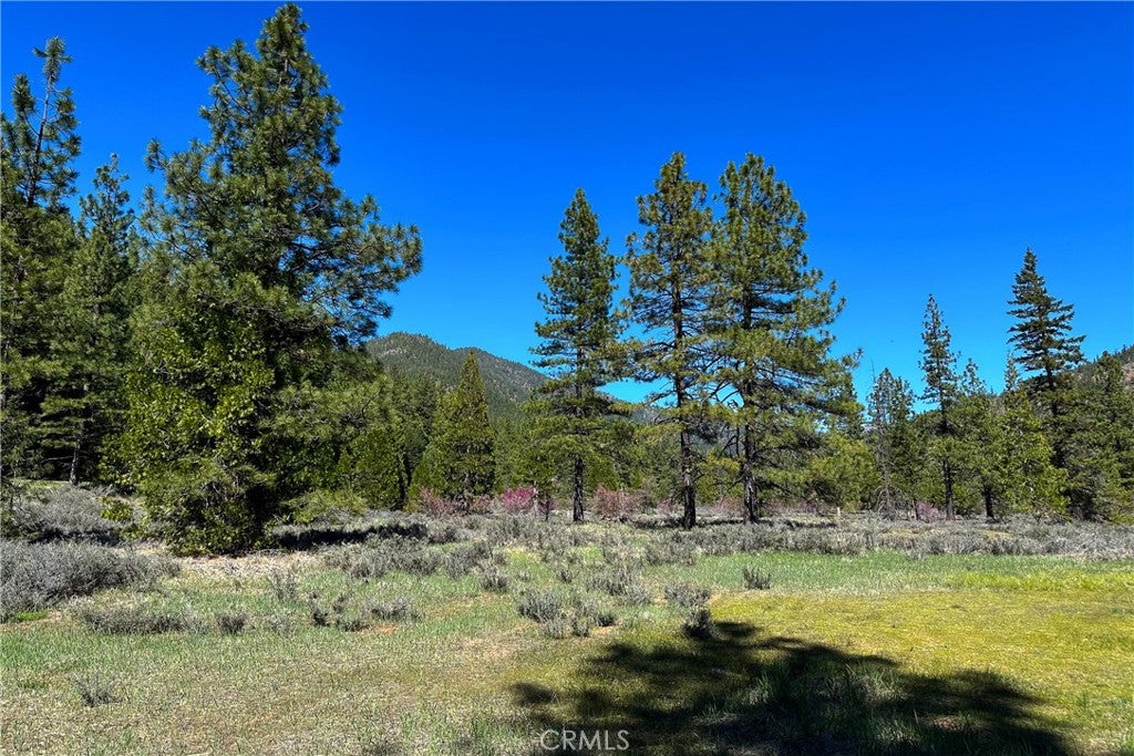 79402 State Highway 3
