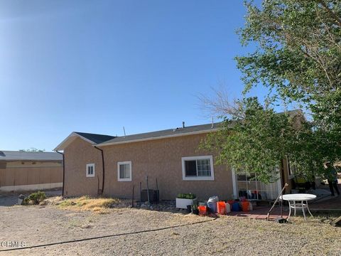 Photo of 10424 Santa Fe Fire Road, Lucerne Valley, CA 92356 (MLS # P1-22379) Photo of 10424 Santa Fe Fire Road, Lucerne Valley, CA 92356 (MLS # P1-22379)