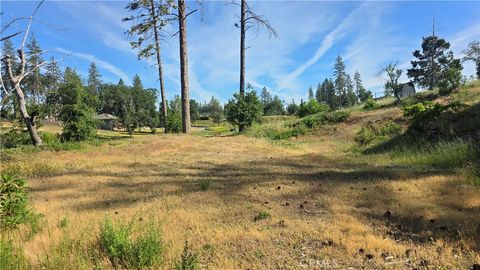 Photo of 790 Highland Lane, Paradise, CA 95969 (MLS # SN25253288)