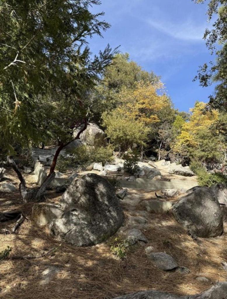 53642 Jeffrey Pine Court