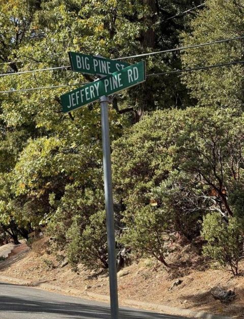 Photo of 53642 Jeffrey Pine Court, Idyllwild, CA 92549 (MLS # 219147115DA)
