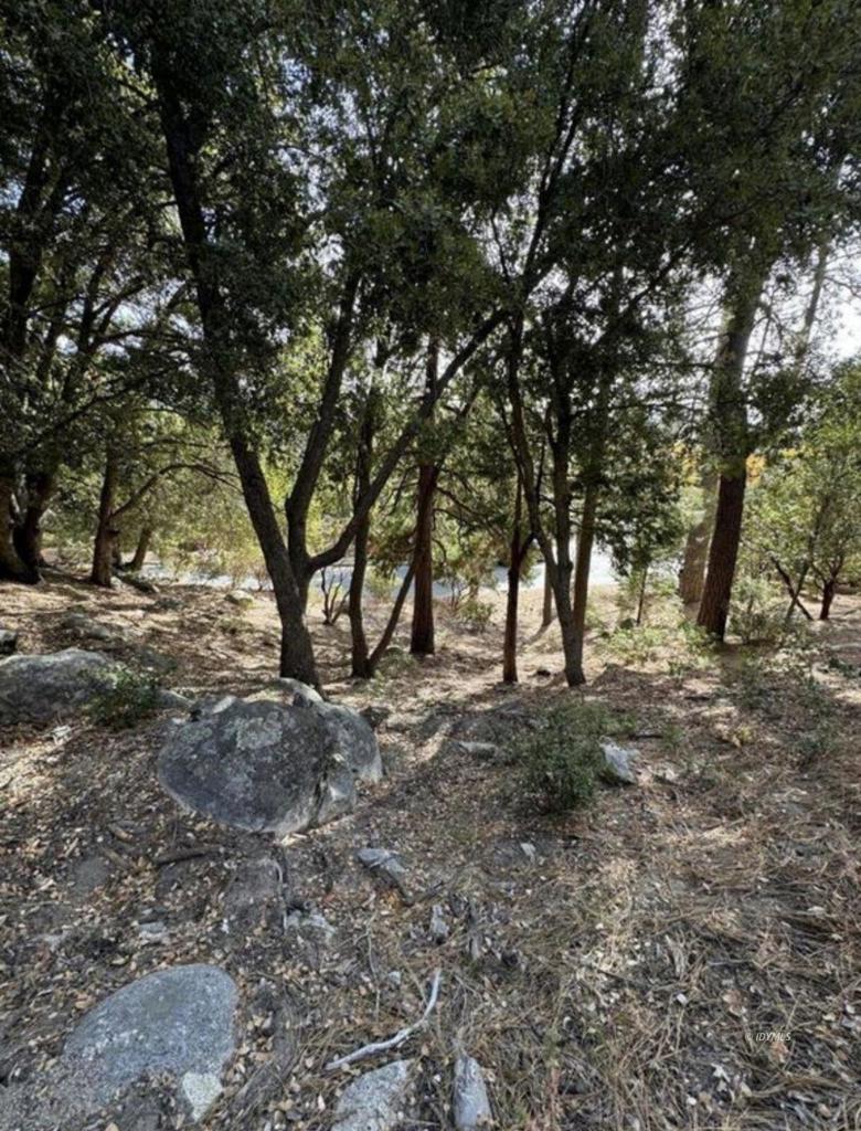 53642 Jeffrey Pine Court