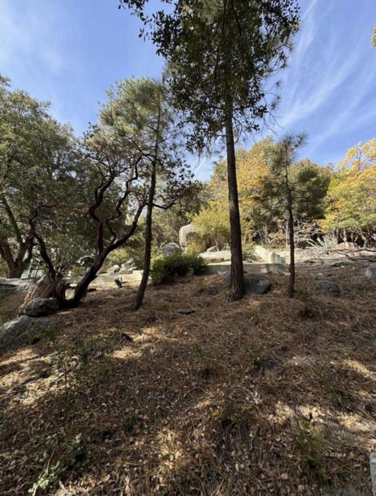 53642 Jeffrey Pine Court