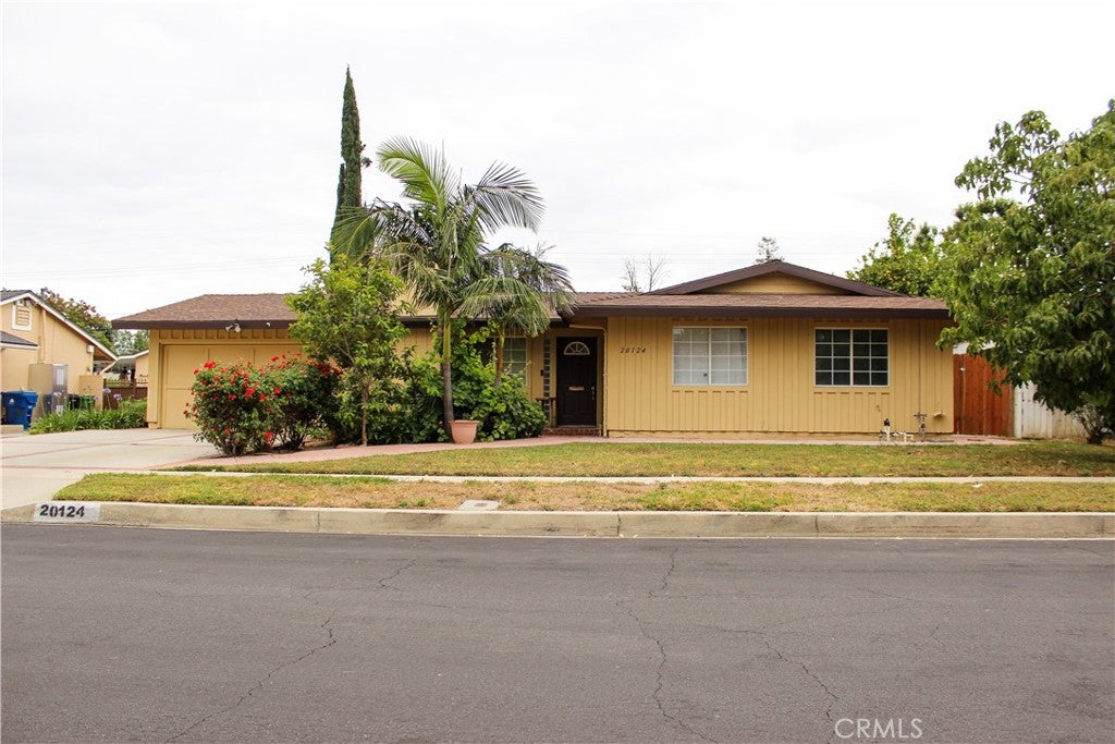 20124 Citronia ST