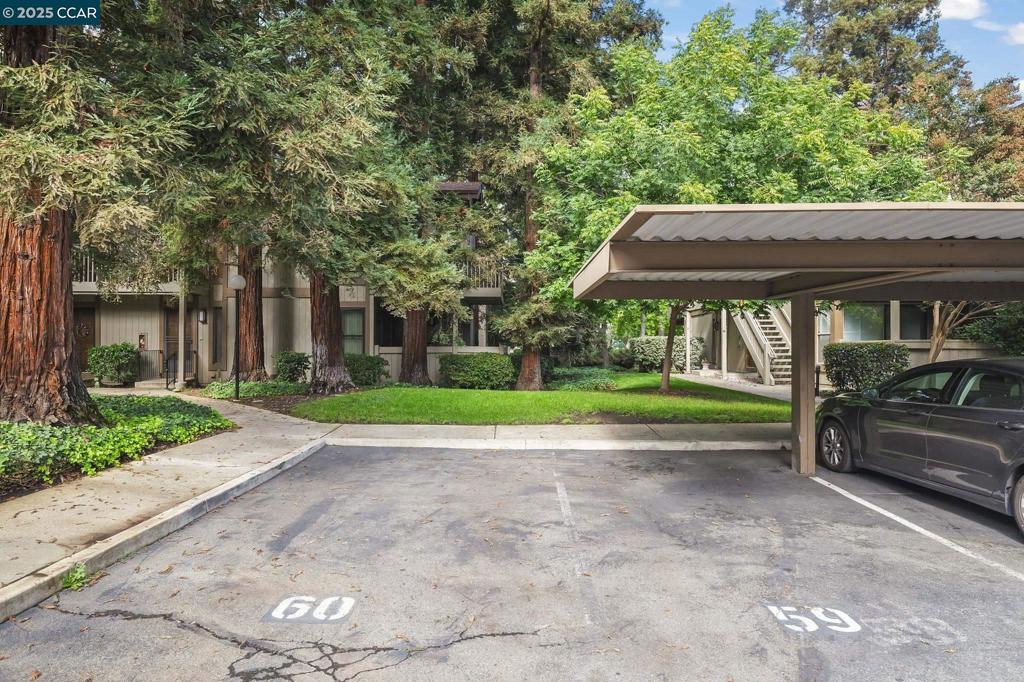 WINDSOR TERRACE - Residential