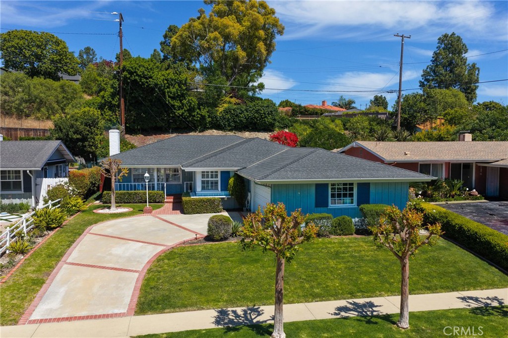 26902 Basswood