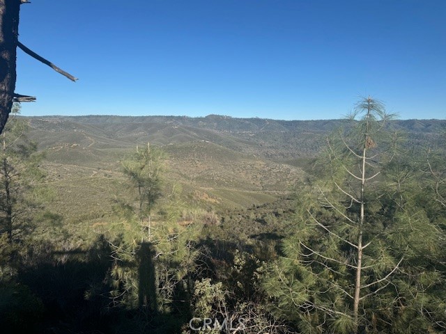 10662 Penon Blanco Lookout Road